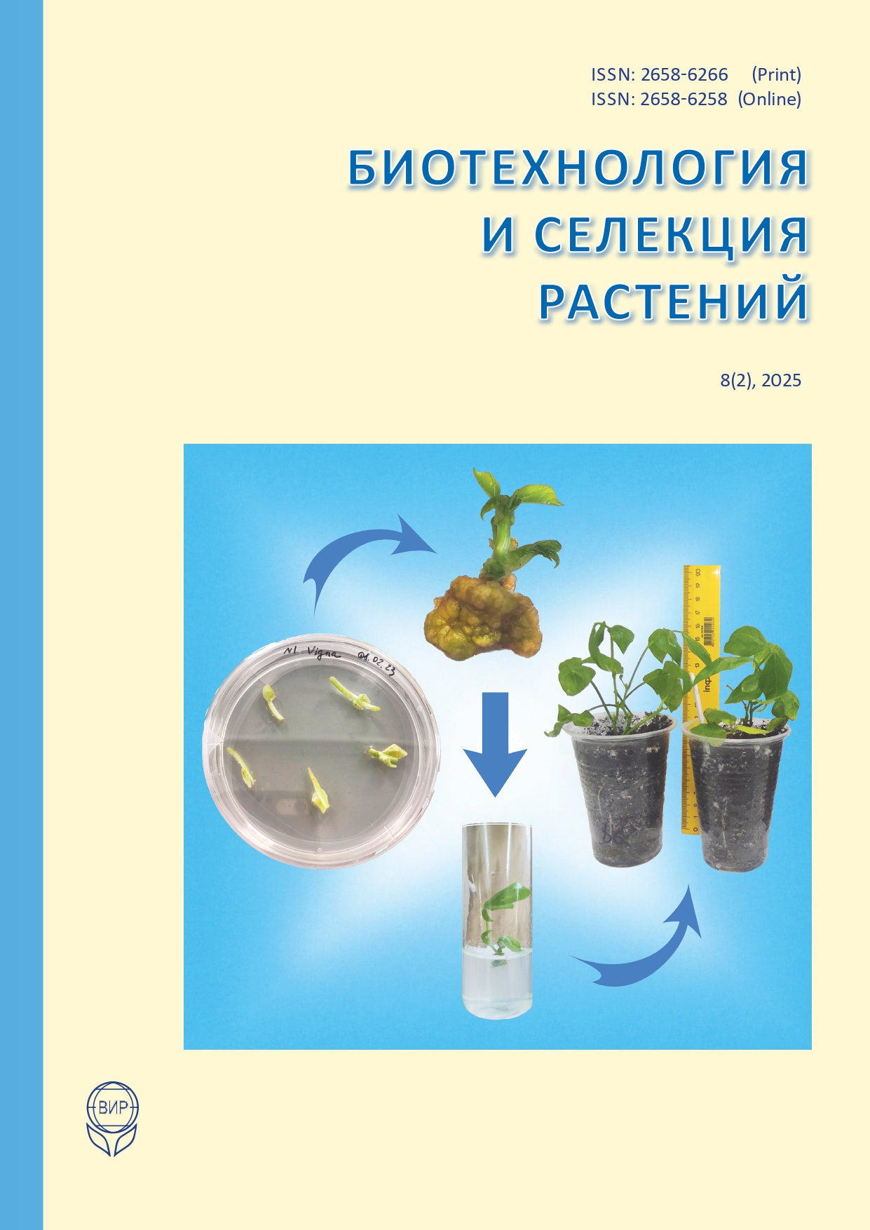 Титульный лист