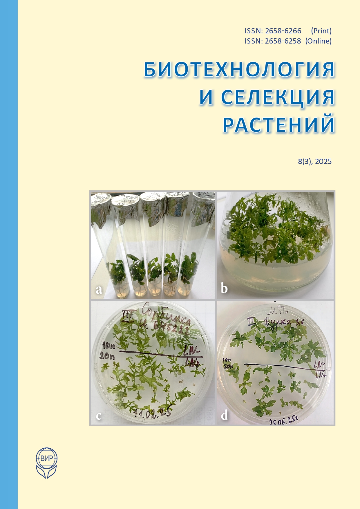 Титульный лист