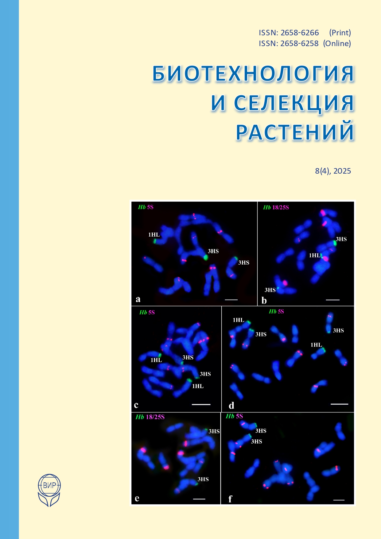 Титульный лист